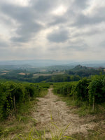 Piemonte Holiday Box