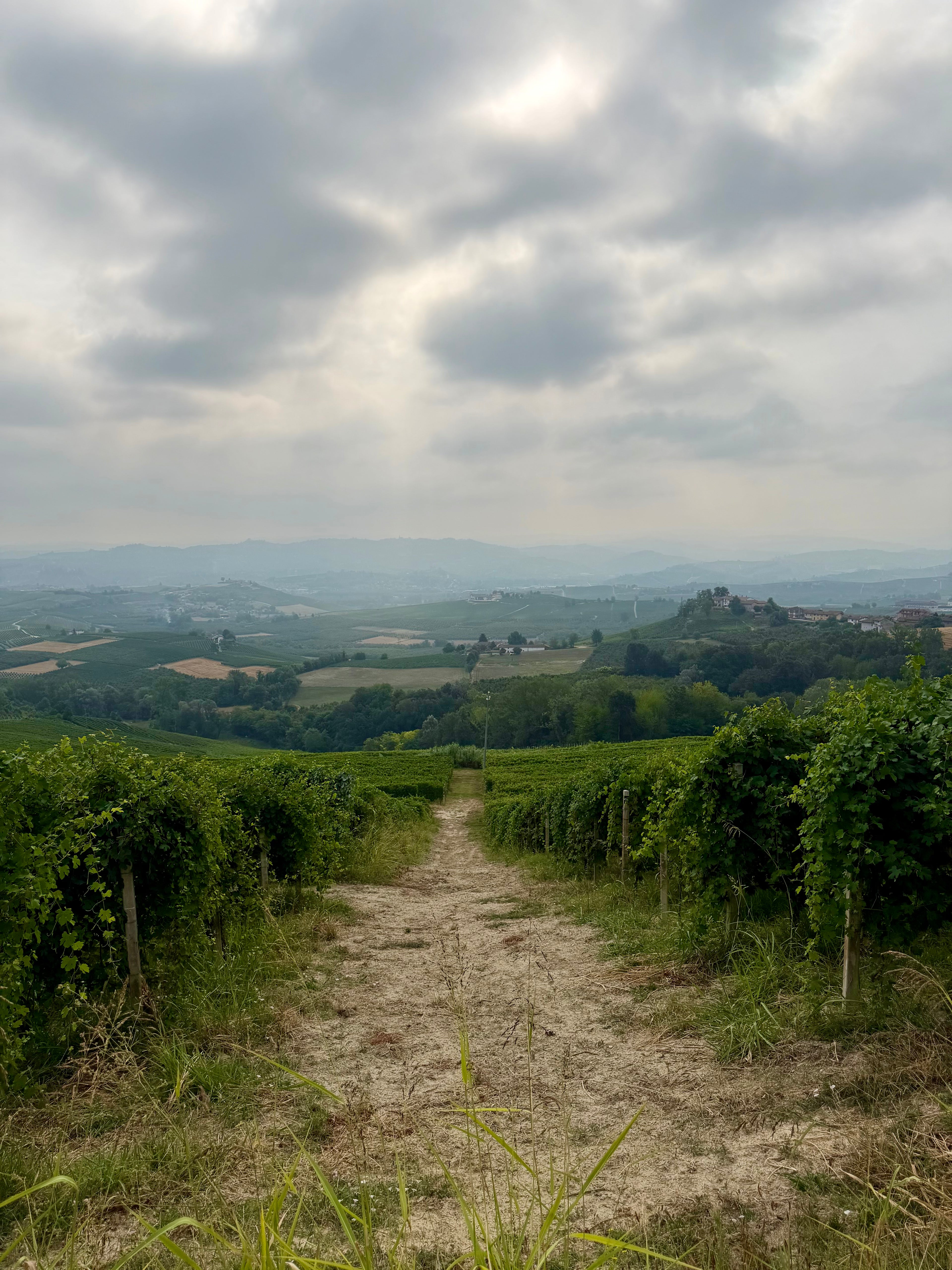 Piemonte Holiday Box