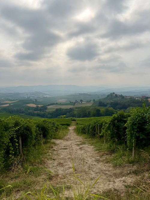 Piemonte Holiday Box